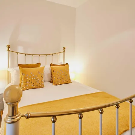 Host & - Temple Terrace 度假居 里士满